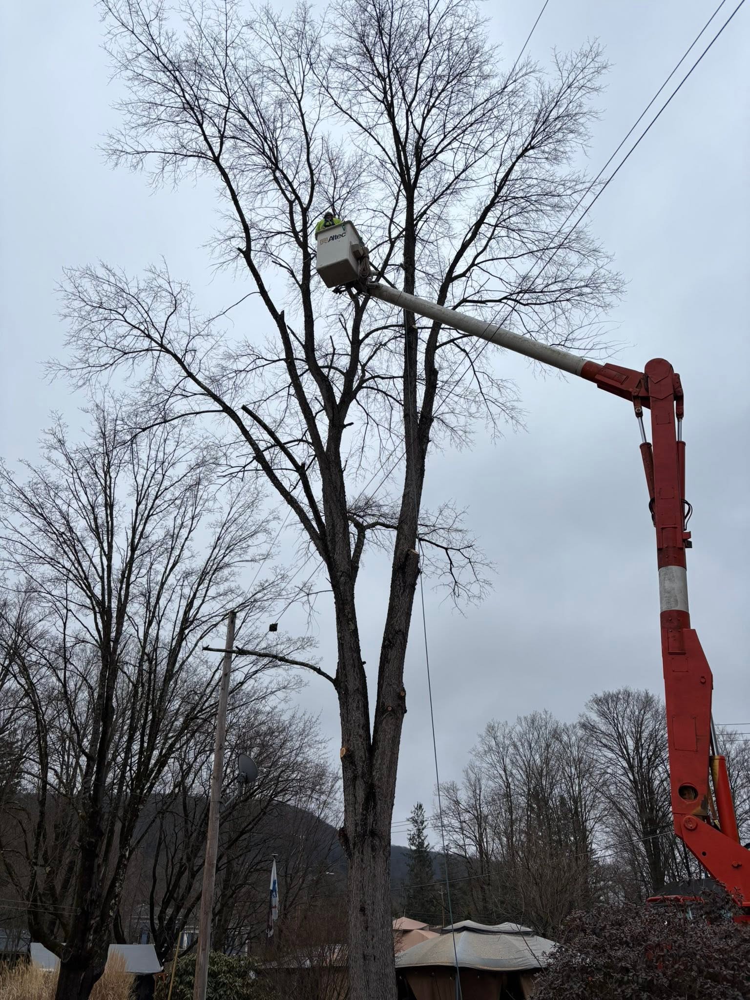 Tree removal from the Altec bucket truck
