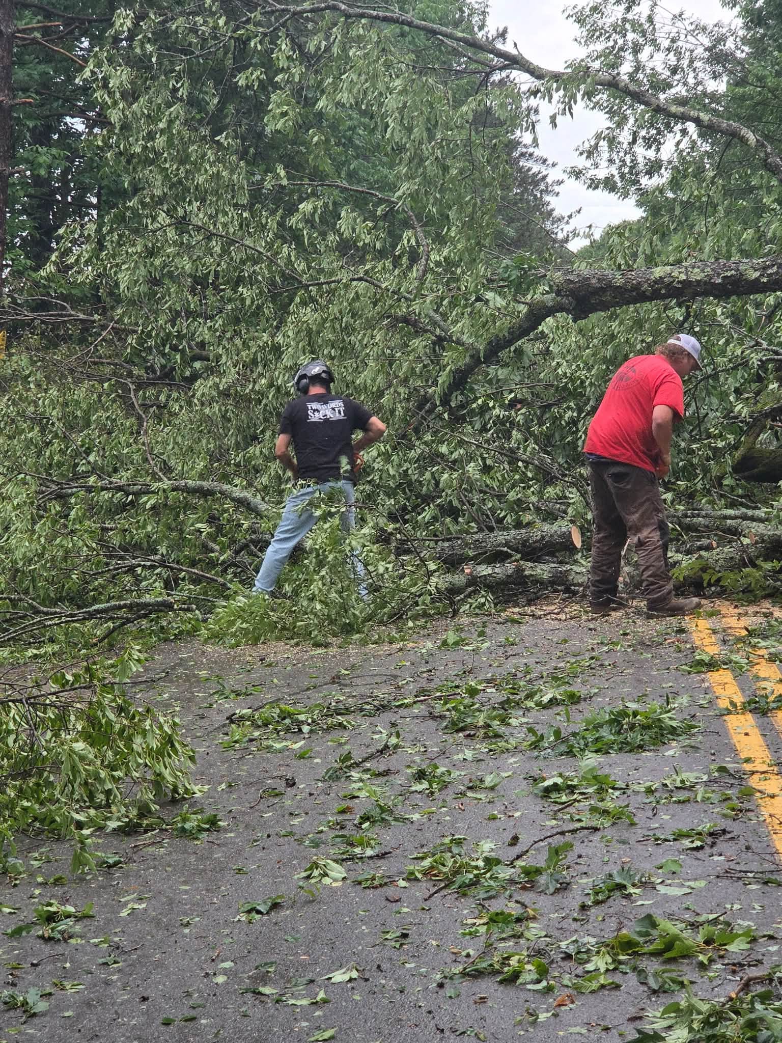 Two crew members limbing a downed tree blocking the road
